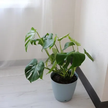 Stylish Peaceful Apartment